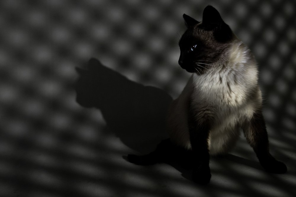 Photograph by Дмитрий Идрисов