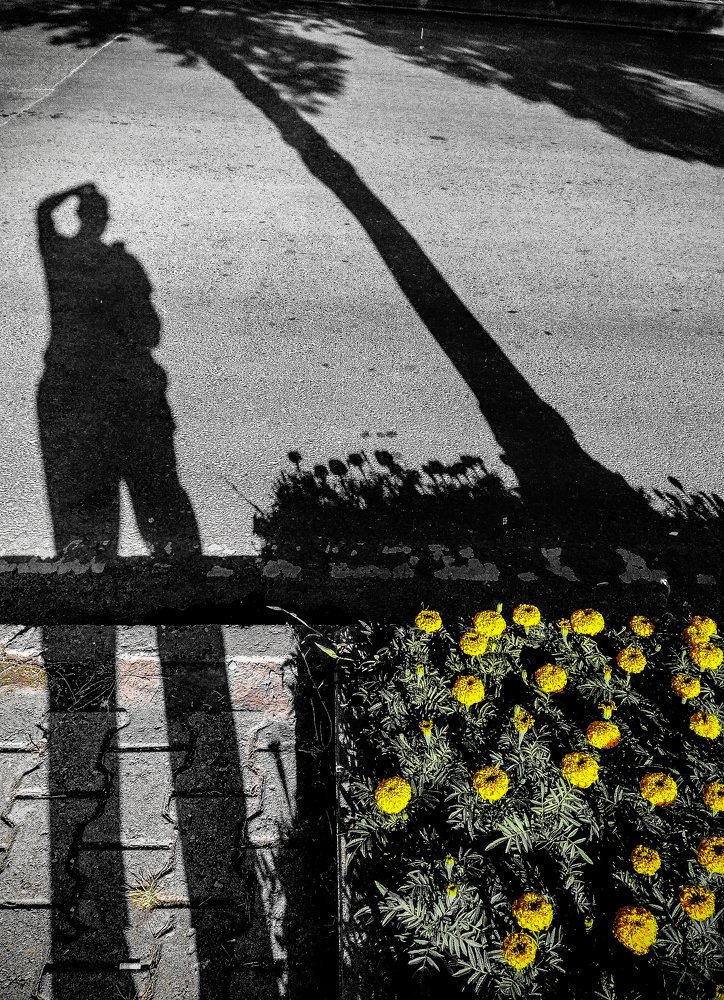 Photograph by DAMOUN POURNEMATI