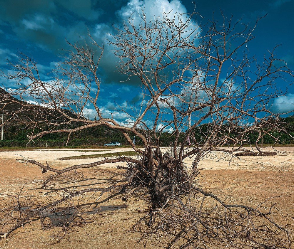 Photograph by Naveen Gajendra Rughobur