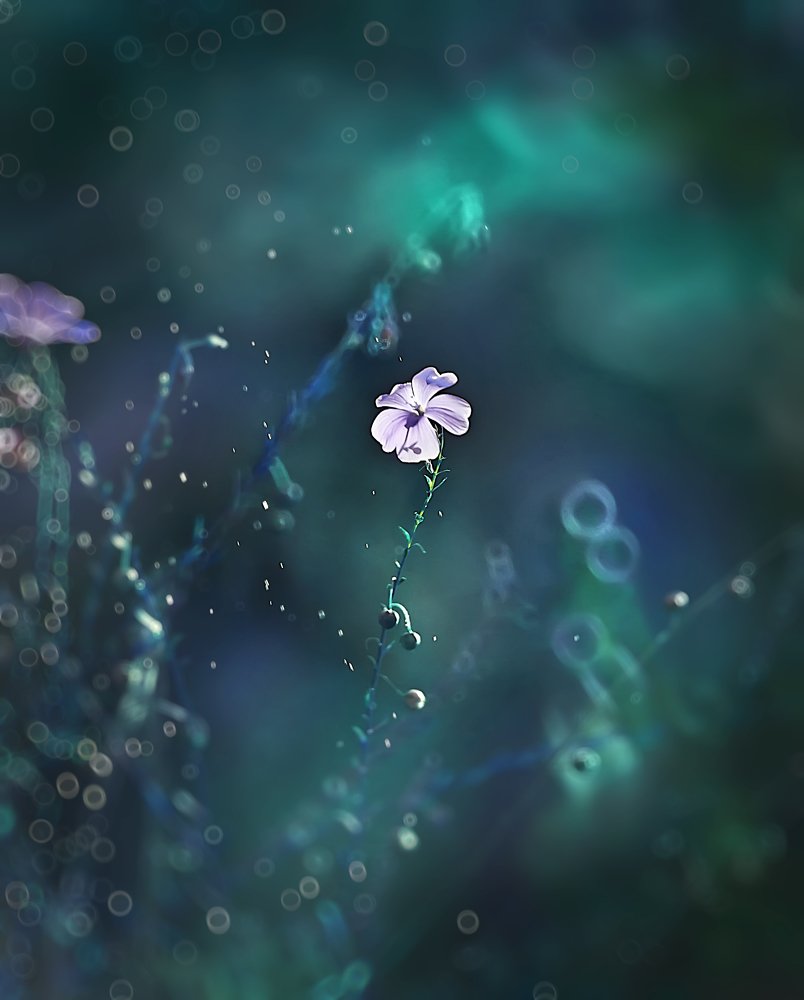 Photograph by Полина Васеева