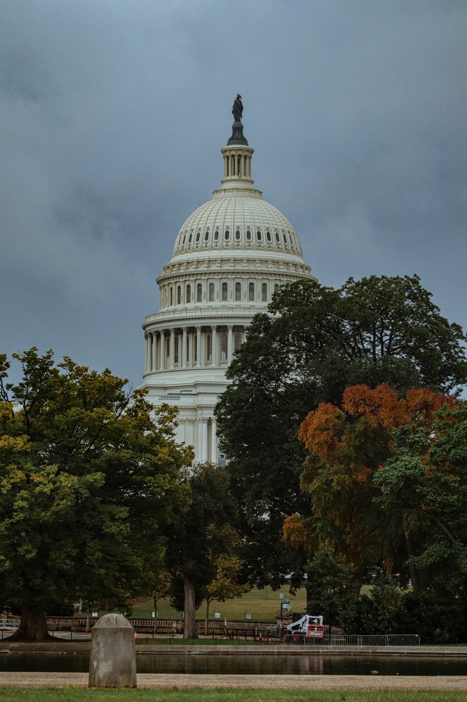 Photograph by Alisa Bryz-Gornia