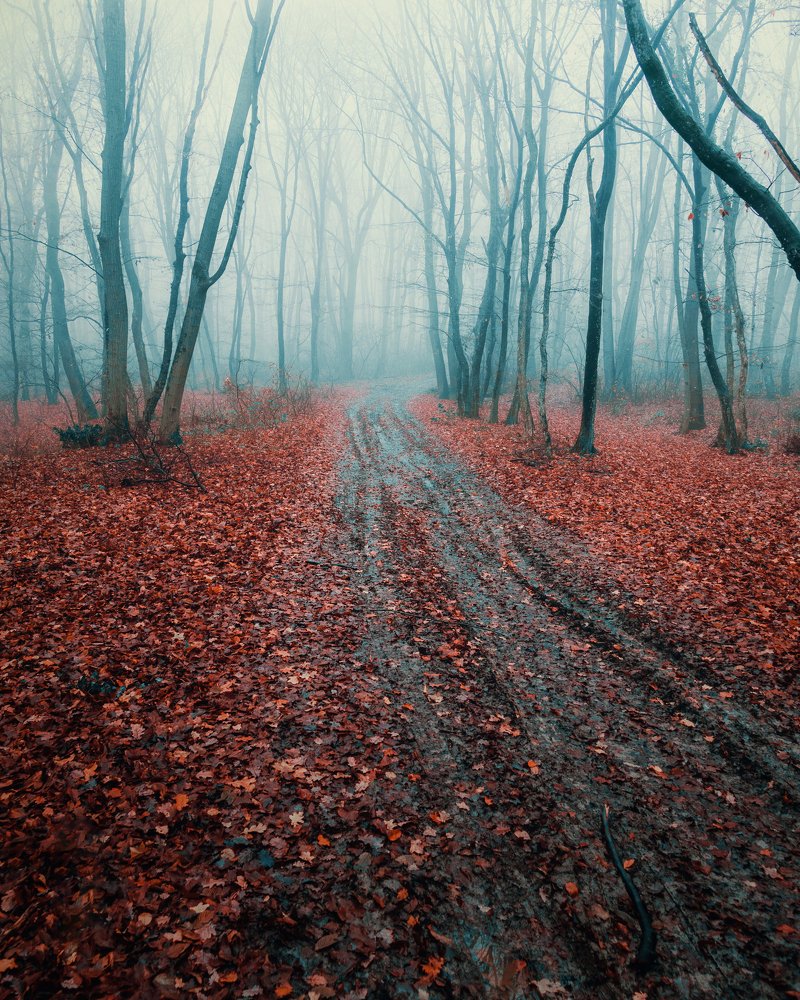 Out of the confort zone