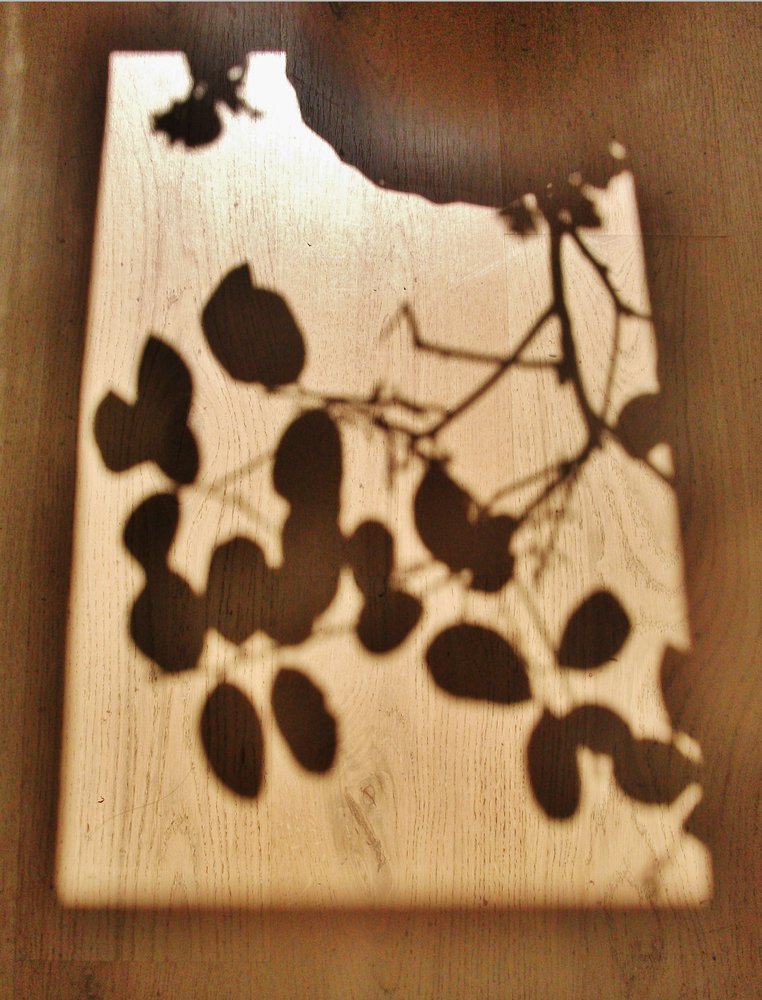 Photograph by Sona Sahakian