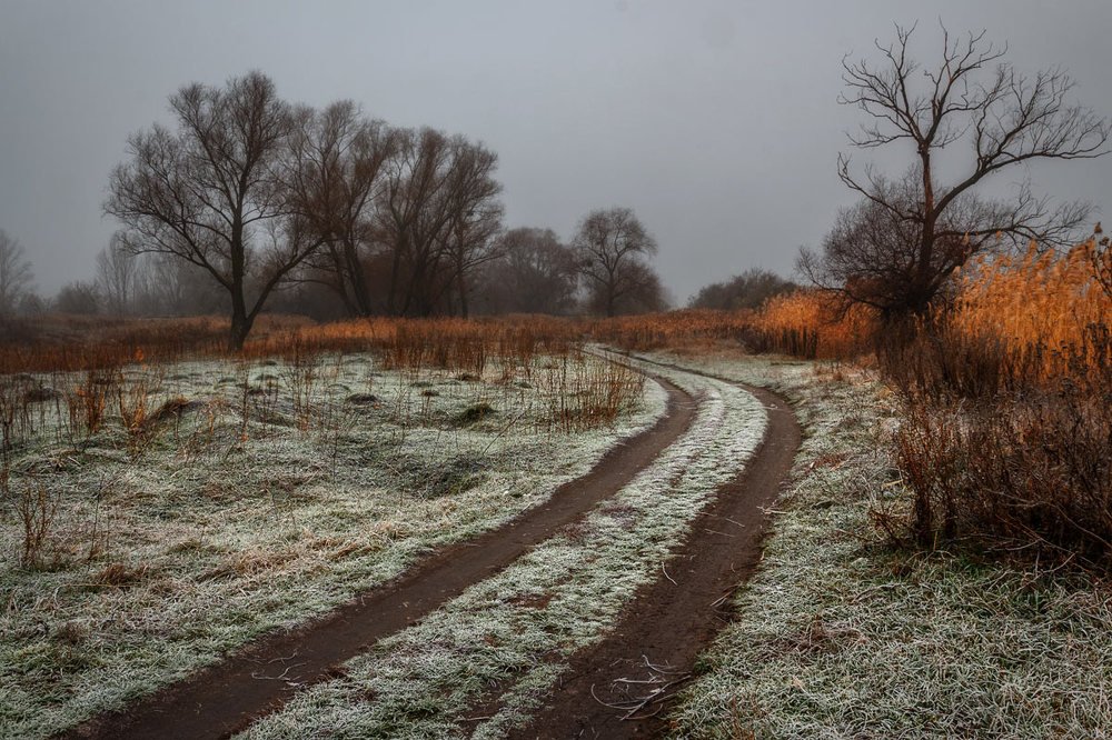 Photograph by Владимир Черных