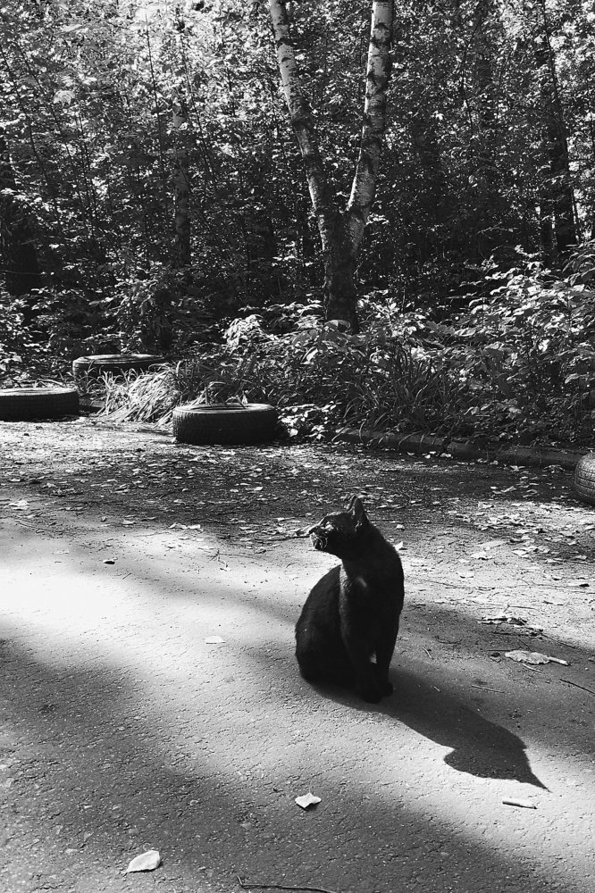 Photograph by Юлия Поликарпова