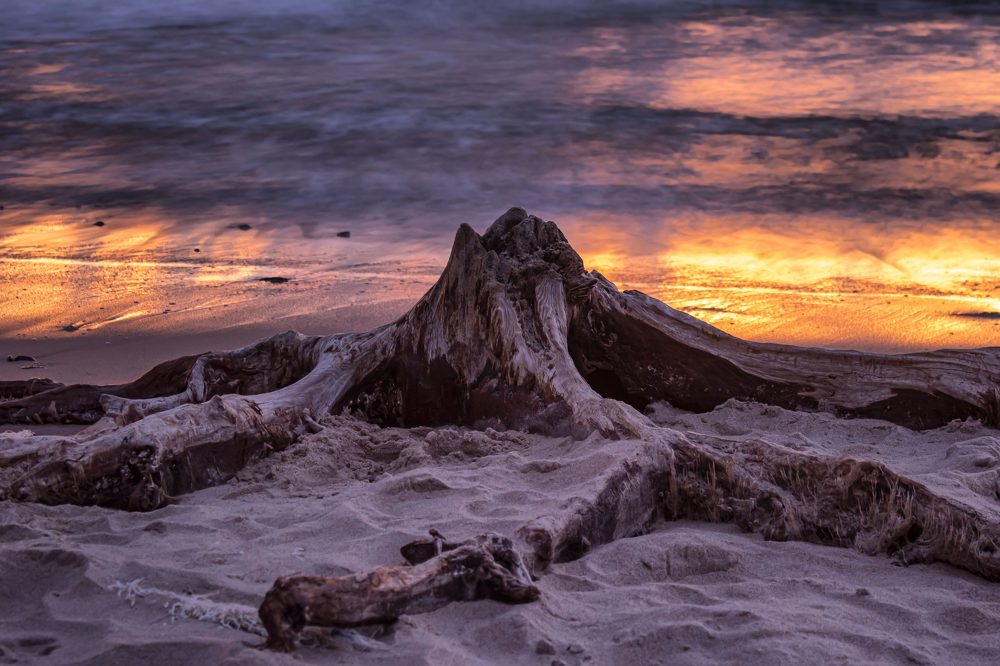 Photograph by Олеся Королева