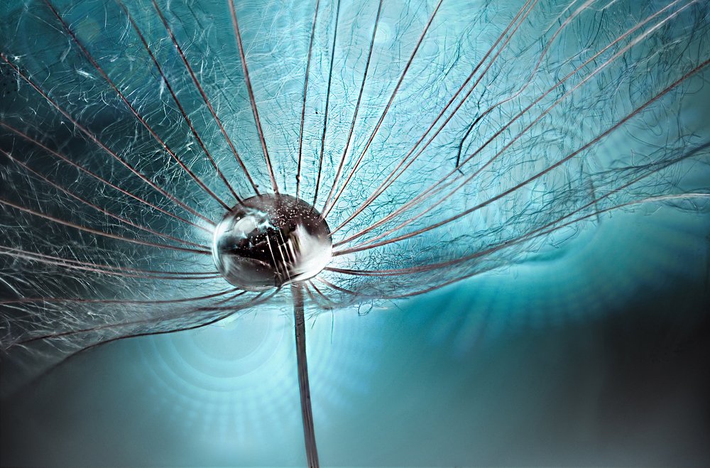 Photograph by Олег Урасов