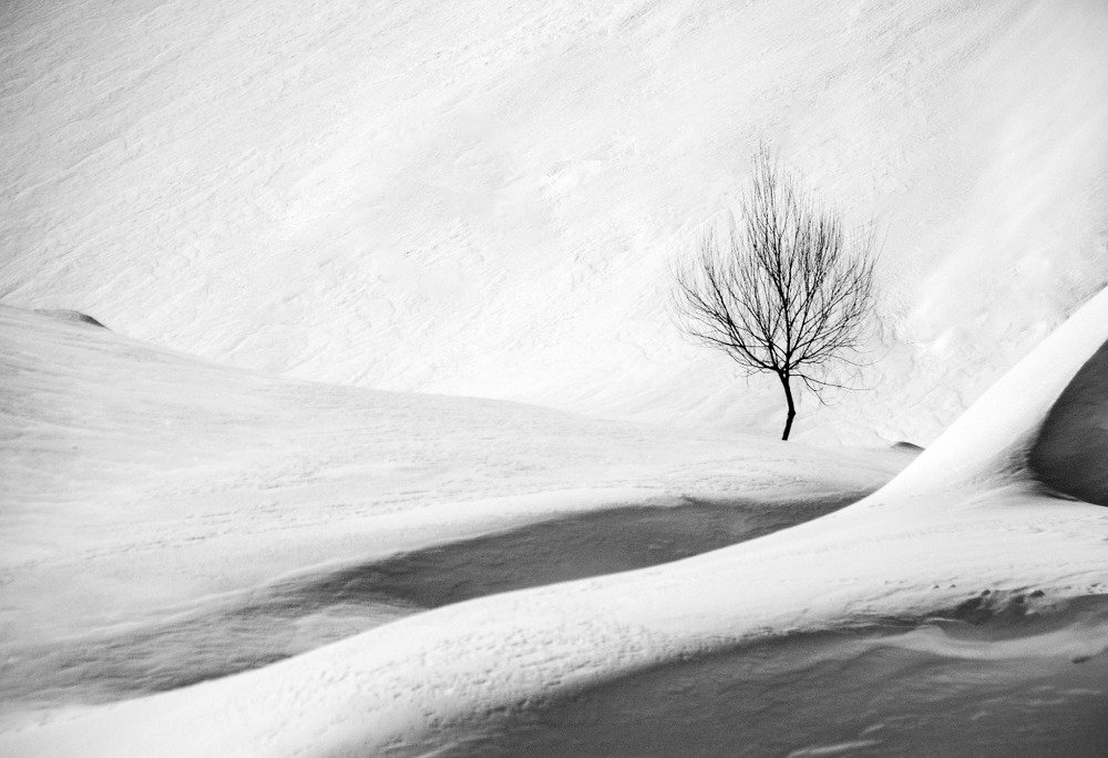Photograph by Mohammad Mohammadzade