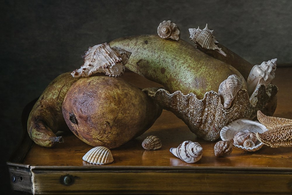 Фотография автора Анна Петина