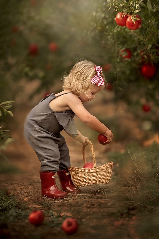 Photograph by Carmen Gabaldon