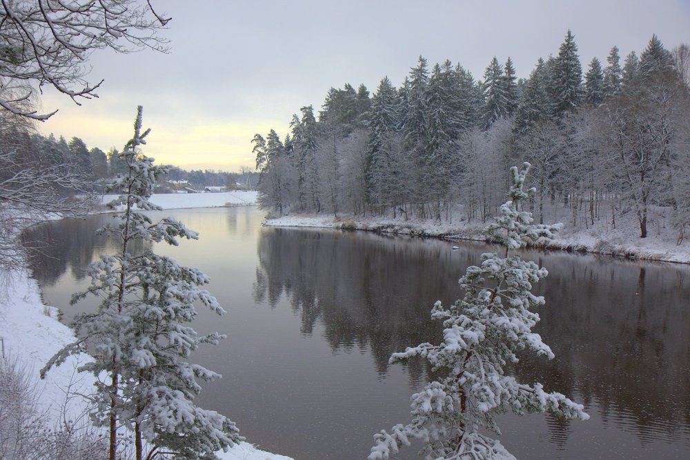 Photograph by Ирина Волкова