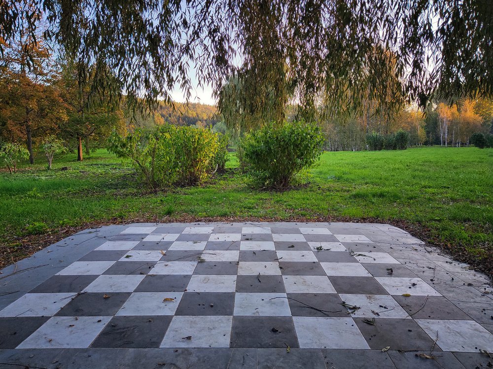 Photo #5447781