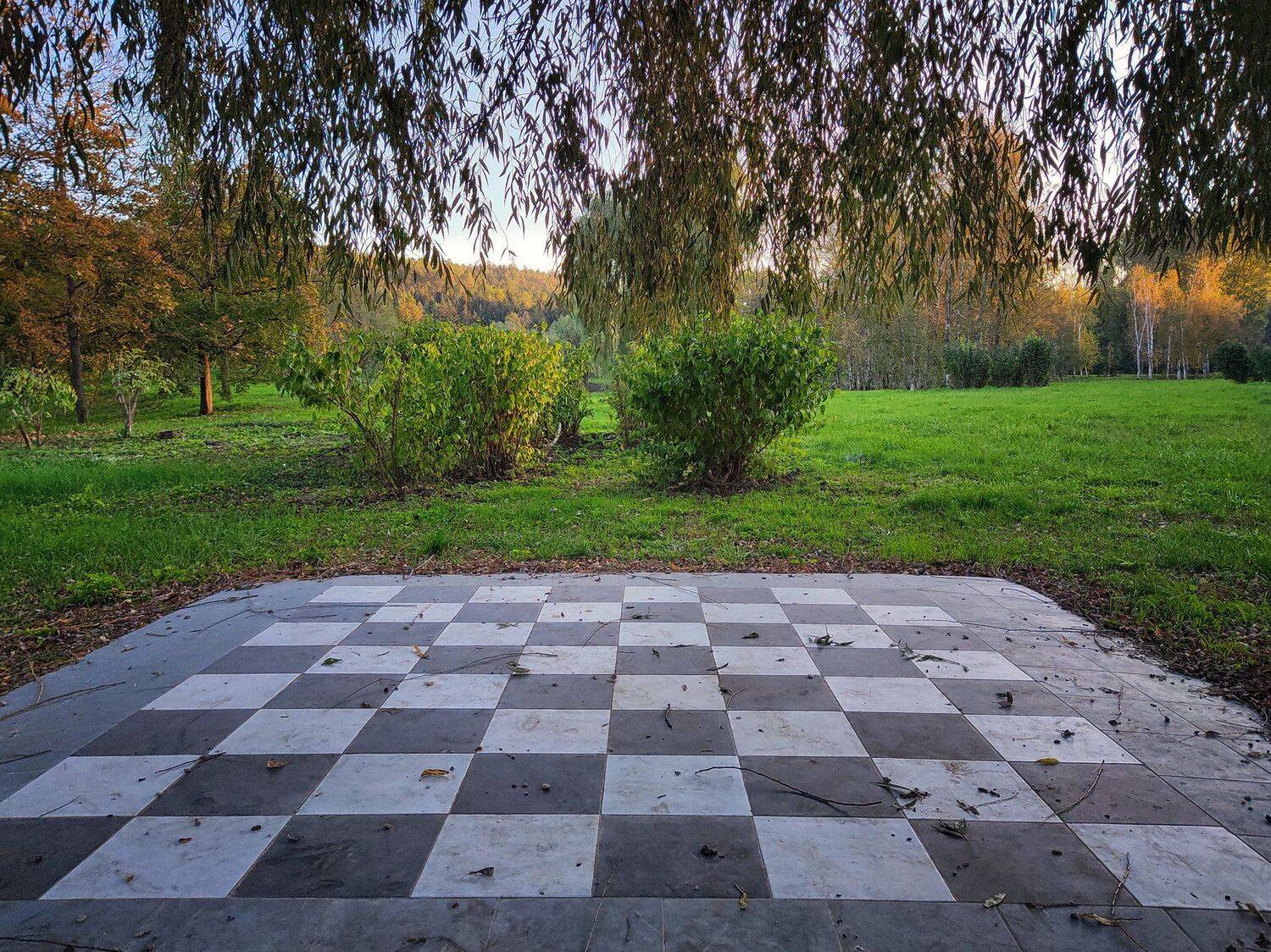 Photo #5447781