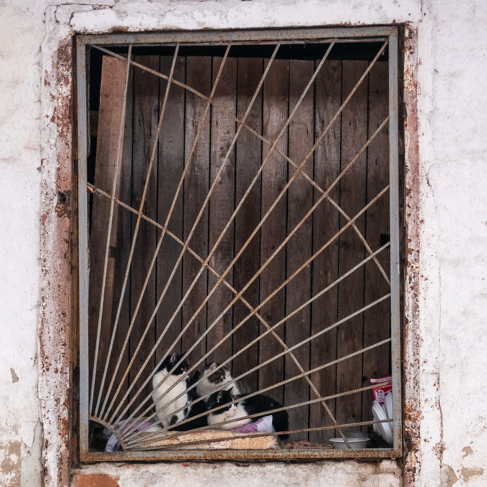 Photograph by Станислав Остраница