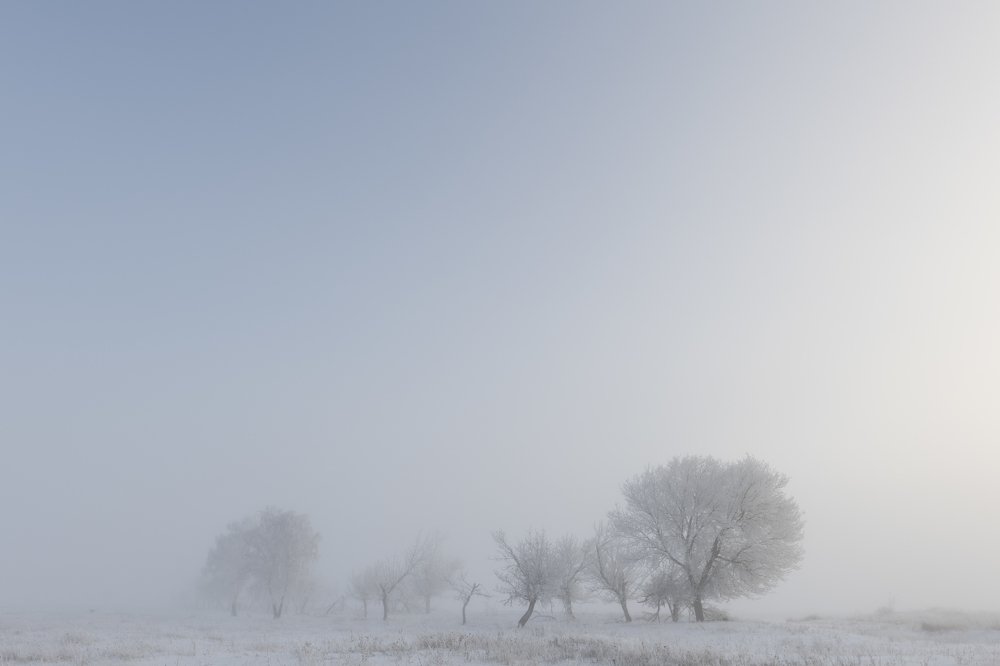 Photograph by Роман Врубель