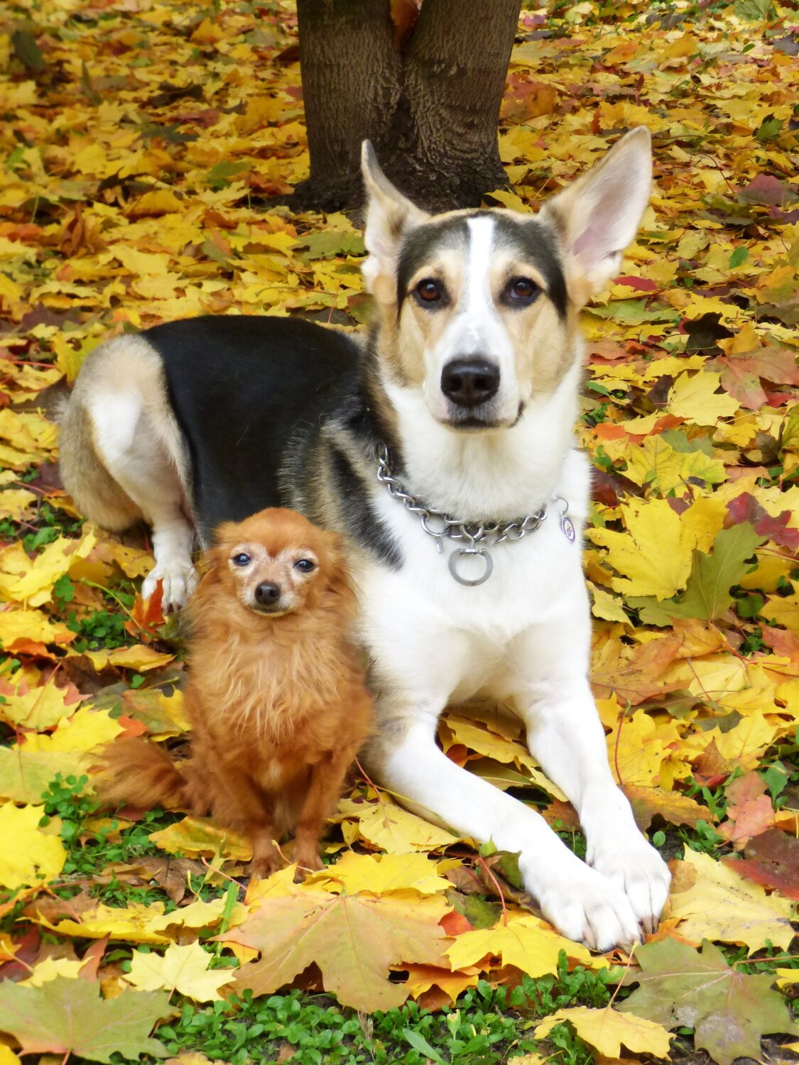 Photo #5447951