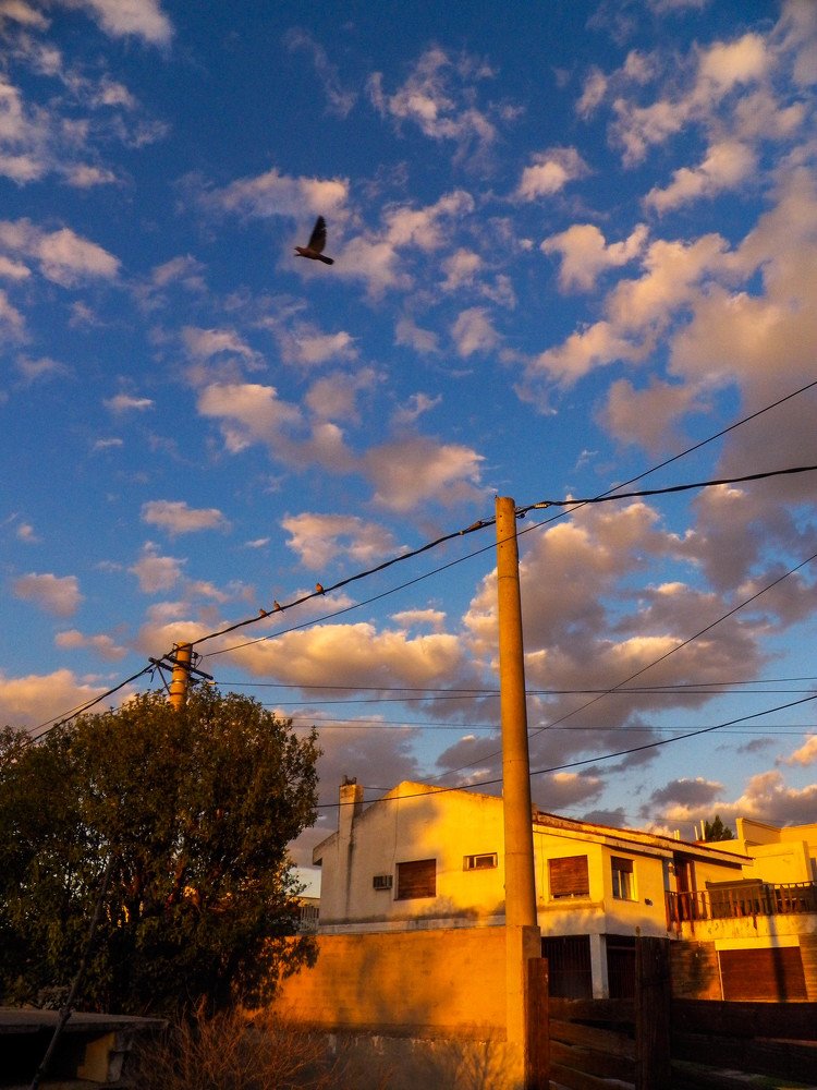 Photograph by Brayam Pua