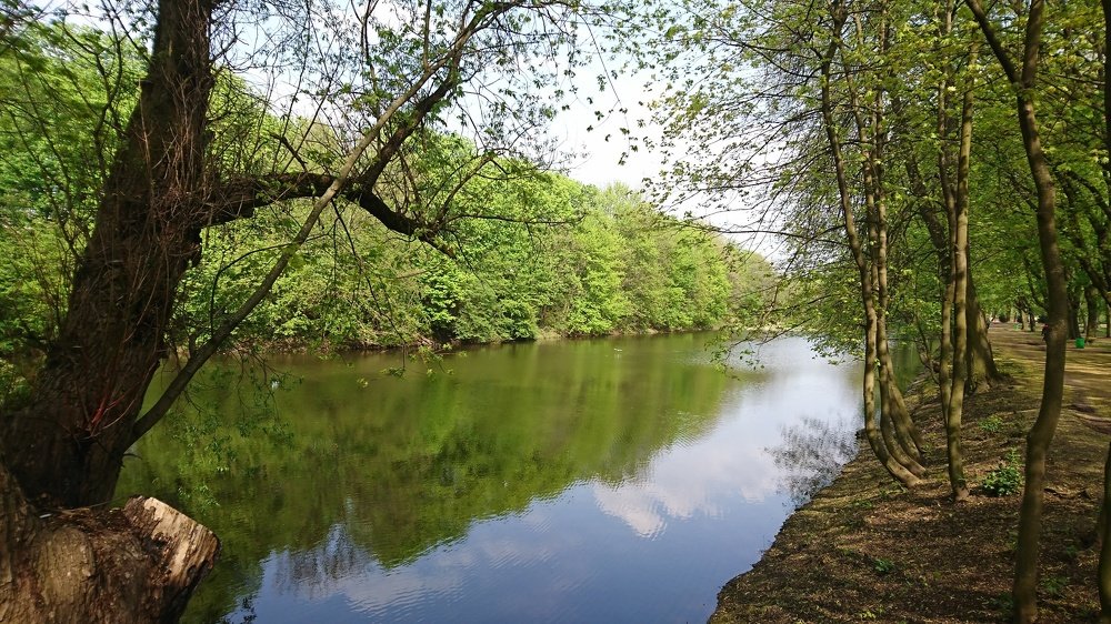 Photograph by Марийона Савоненко