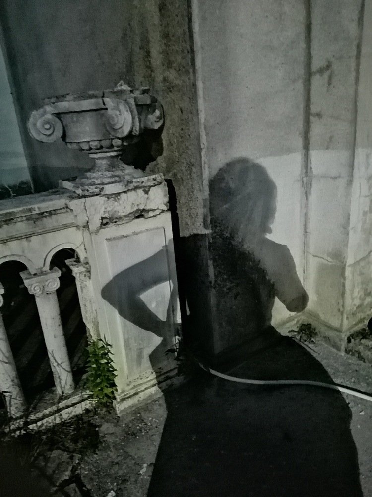 Photograph by Илона Комарова