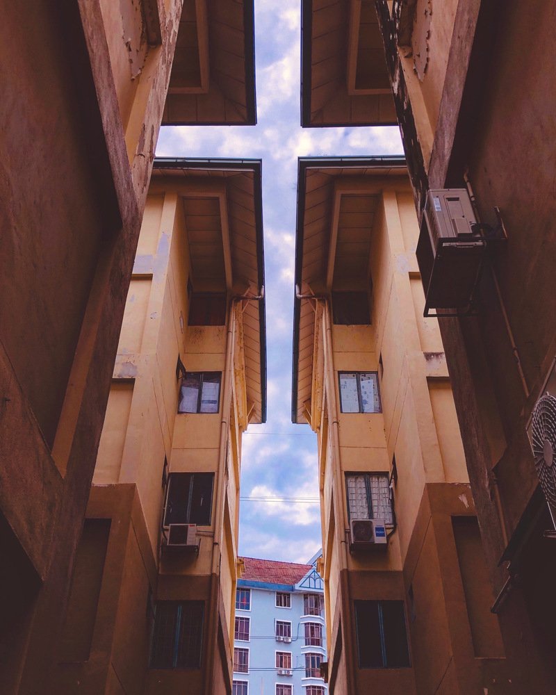 Photograph by Shavitra