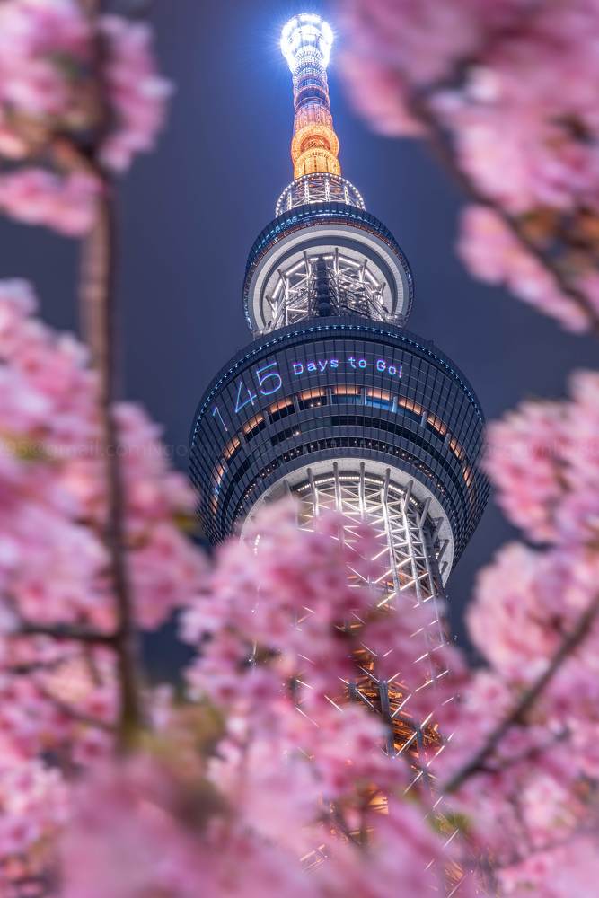 Photograph by Nguyen Bao Ngoc