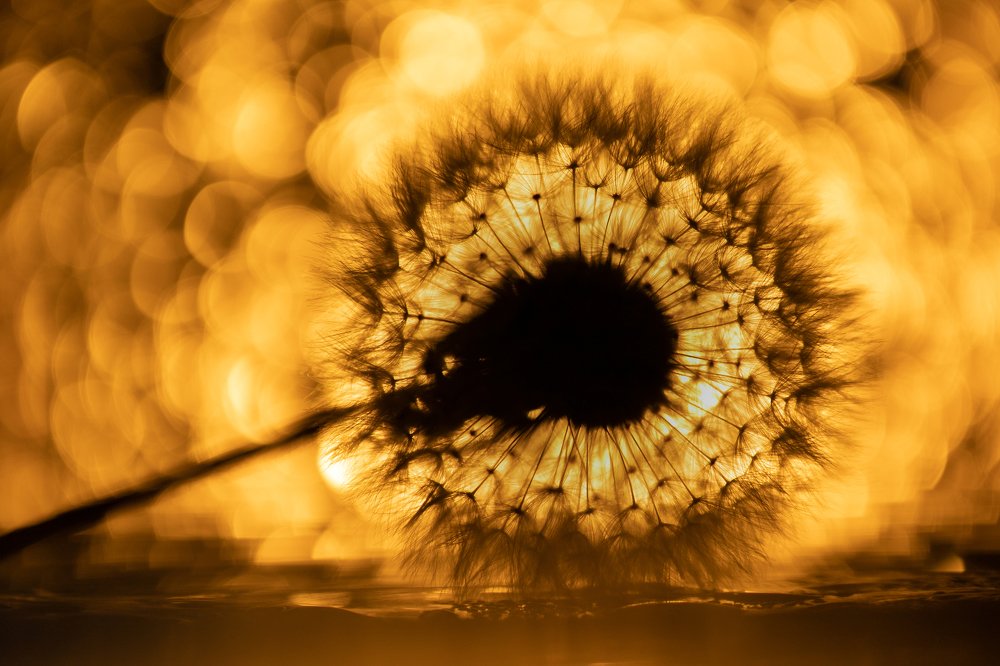 Photograph by Сергей Романченко