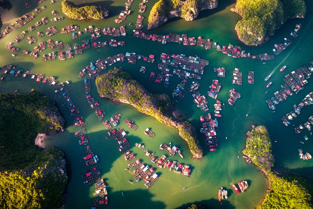 Cai Beo Fishing Village