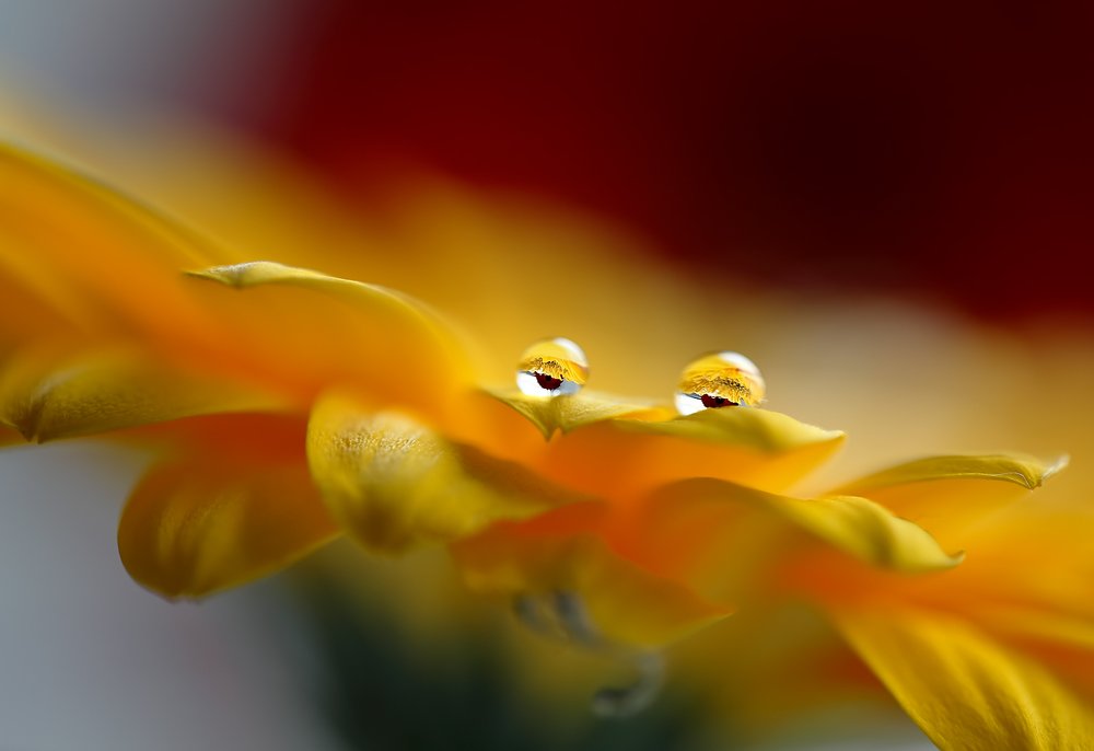 Photograph by Евгений Паршуков