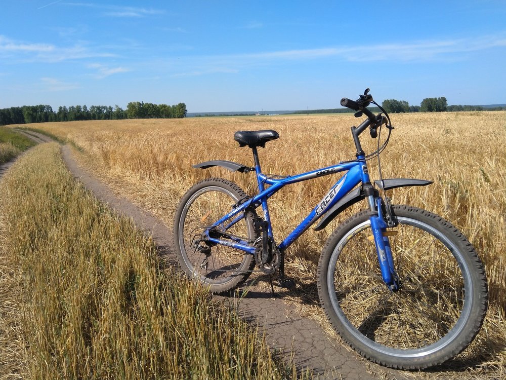 Photograph by Наталья Соловьева