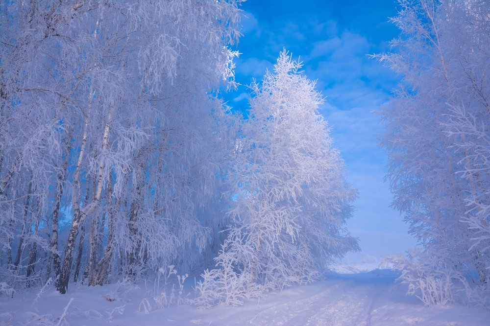 Зимняя дорога