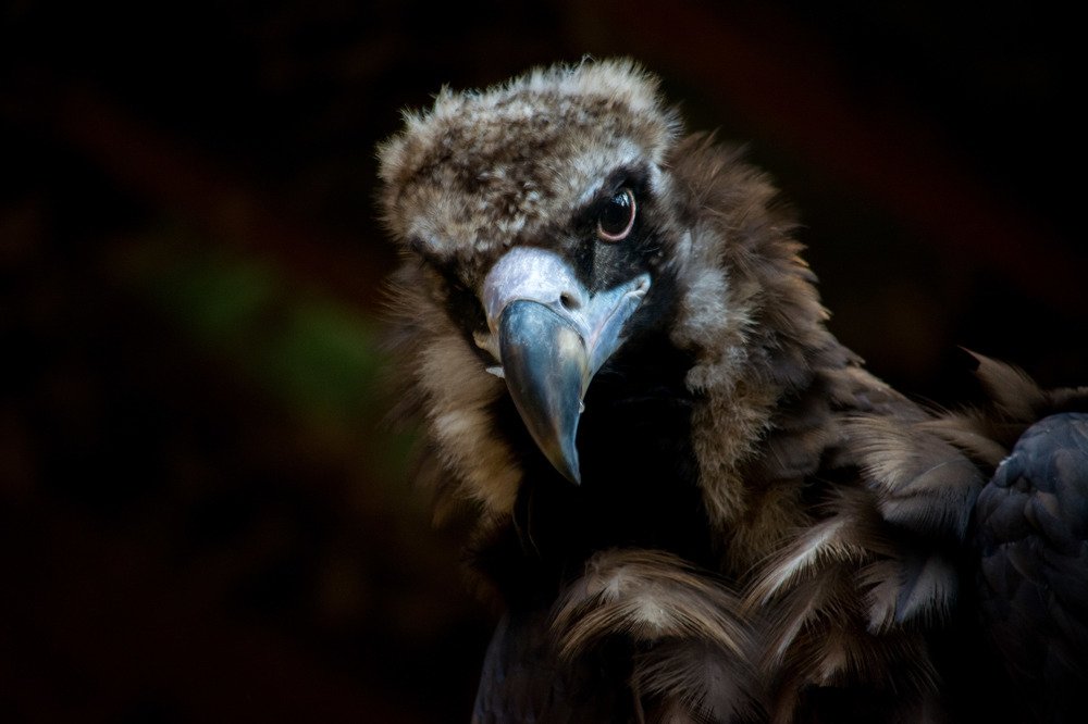 Photograph by Анастасия Попельская