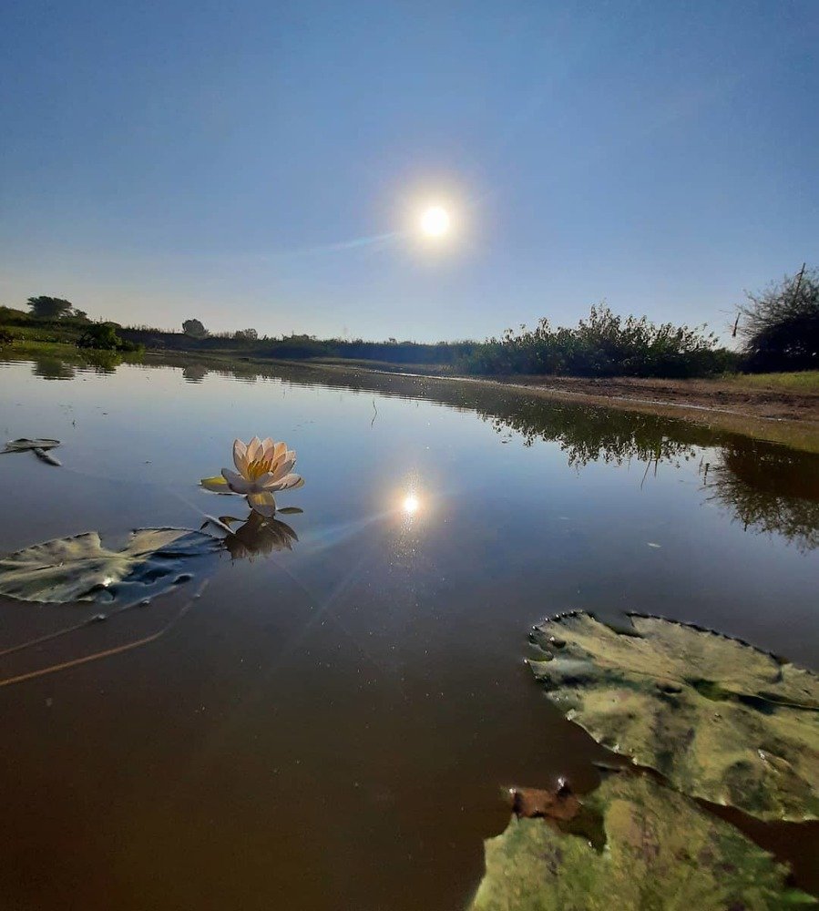 Photograph by Chakravarthy Kyasal