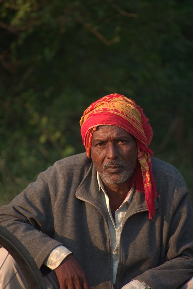 Golden Light- Portrait