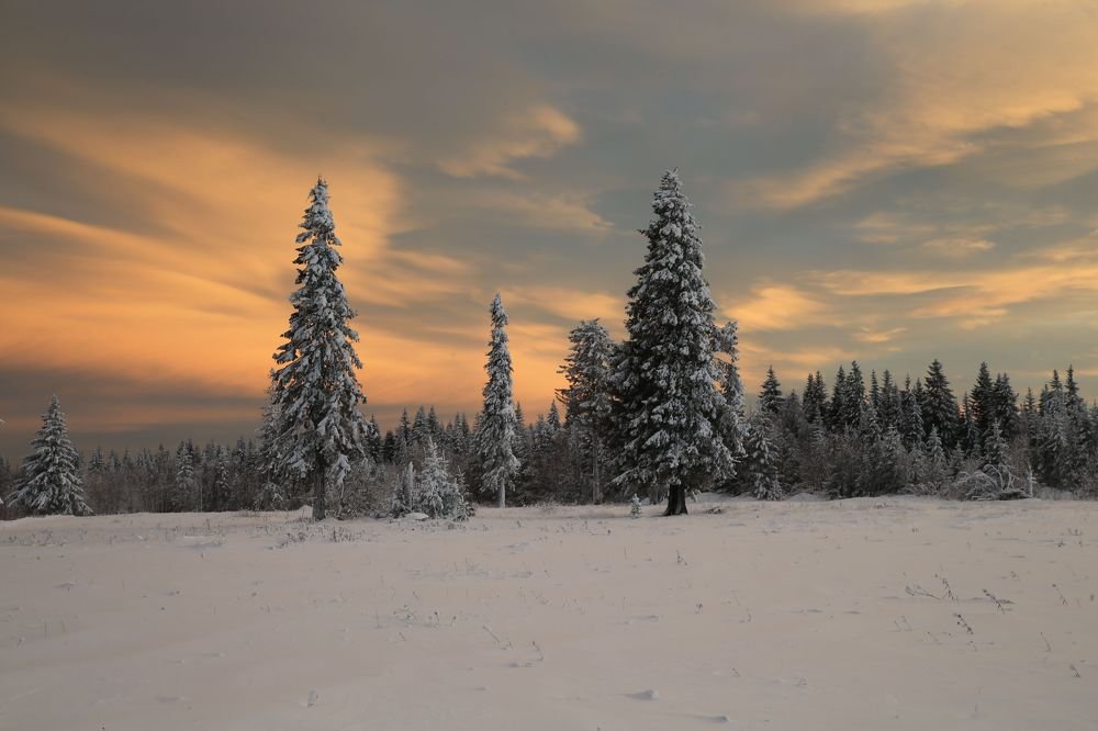 Фотография автора Юрий Кетель