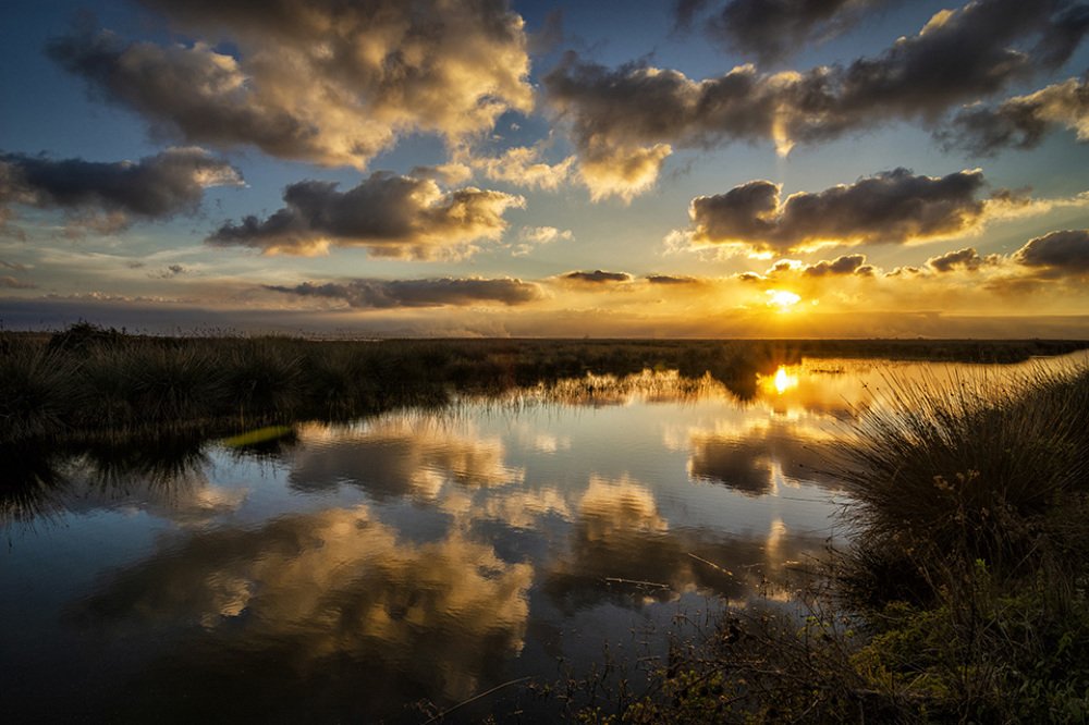 Photograph by Ozlem Ozyun