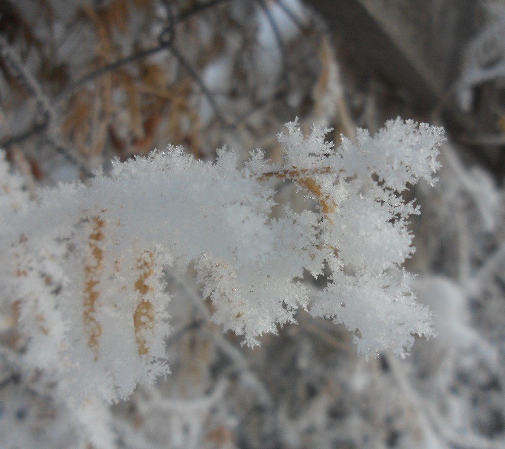 Photograph by Юлия