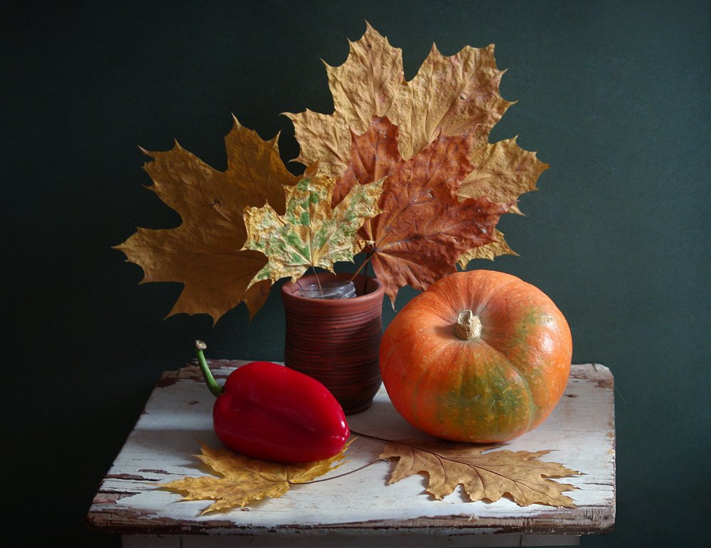 Photograph by Ionika Mink