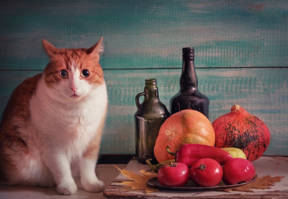 Photograph by Ionika Mink