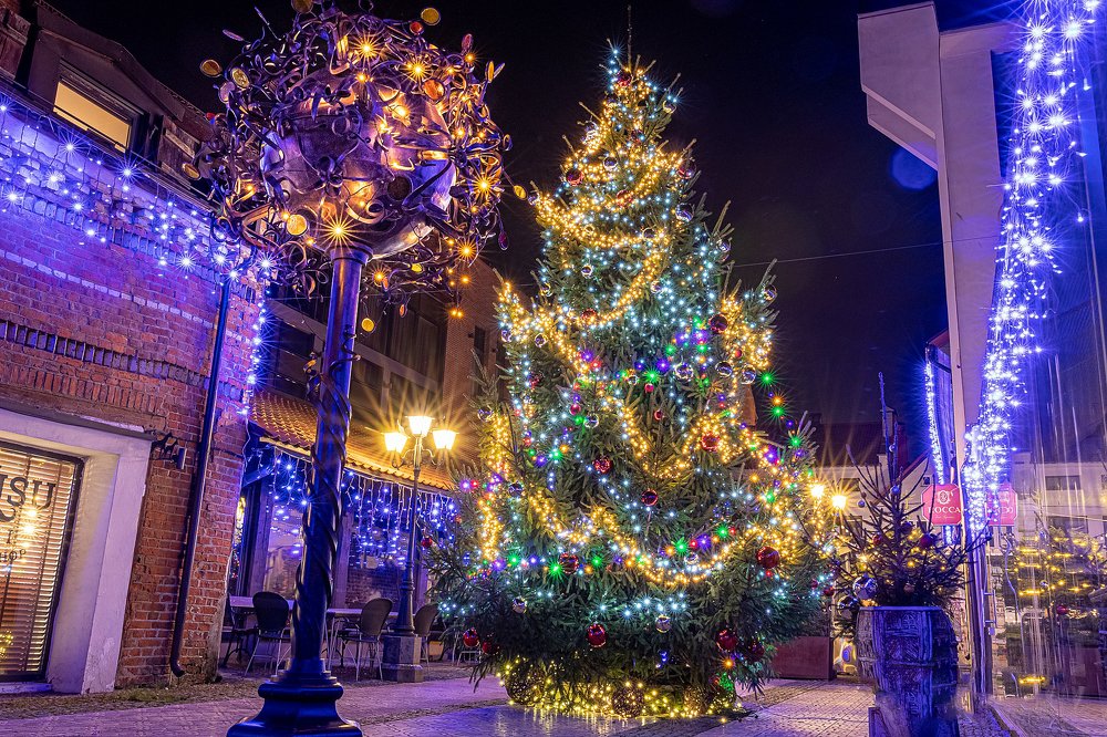 Photograph by Anzela Bazyk