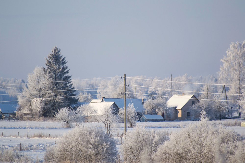 Photograph by Kristine