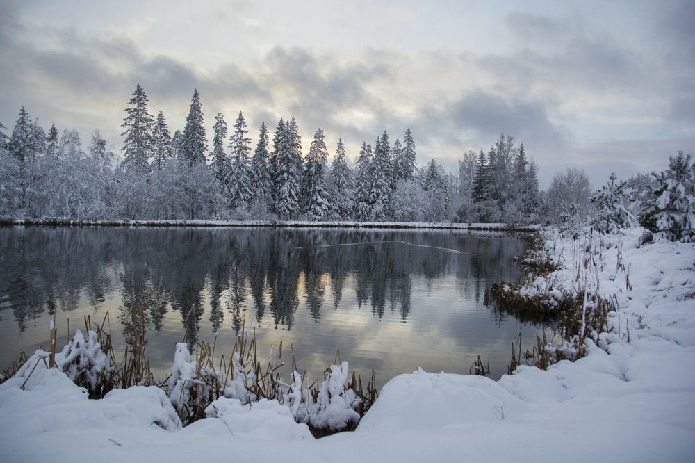 Зимняя сказка