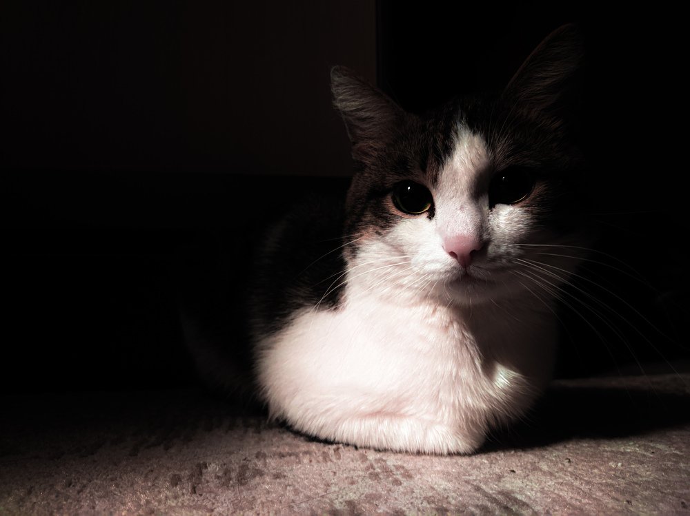 Фотография автора Yermek Zhunusbayev