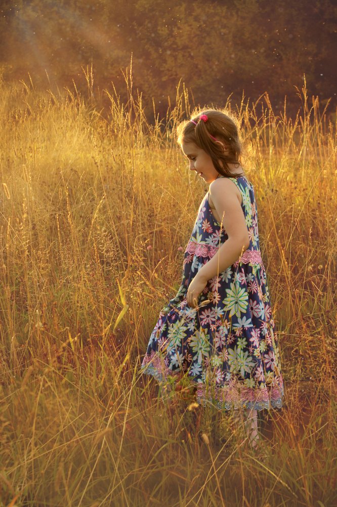 Фотография автора Алена Левина