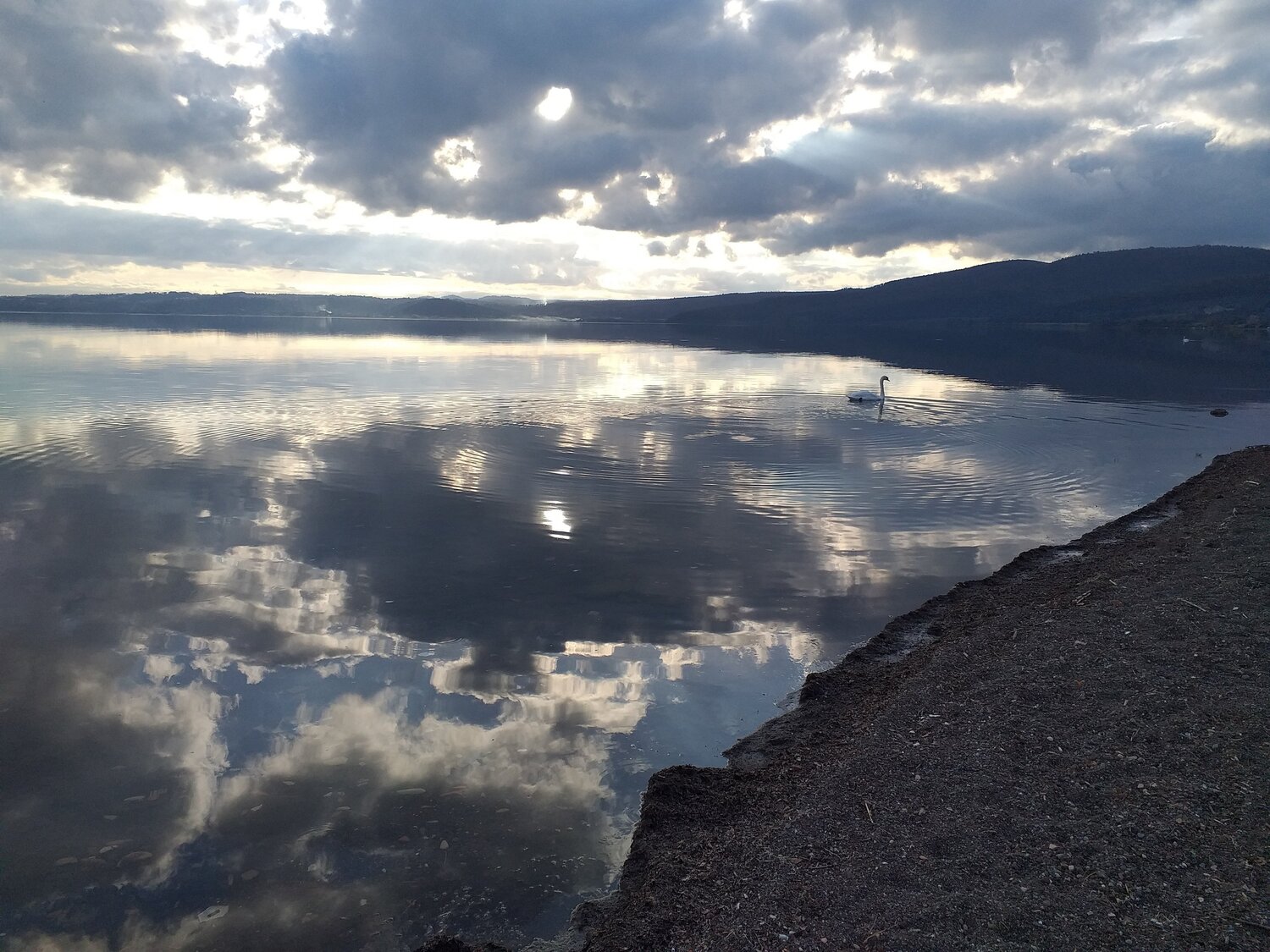 Photo #5449111