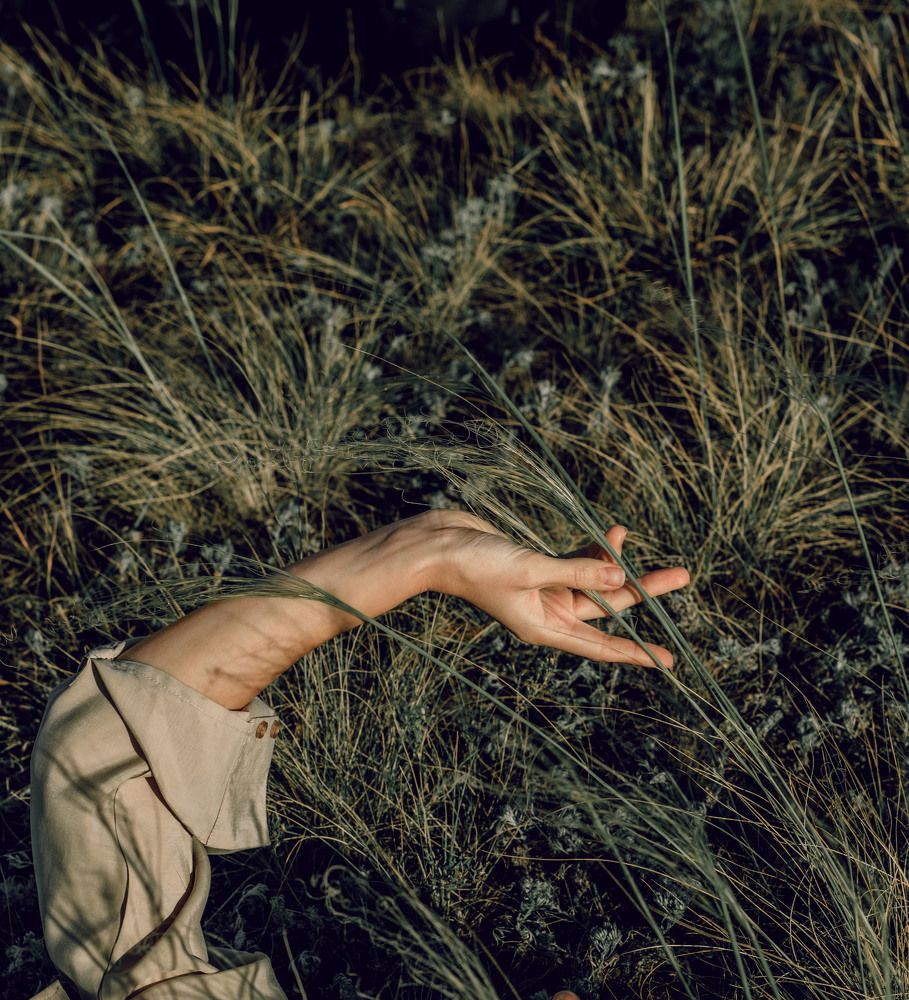 Алтайские просторы