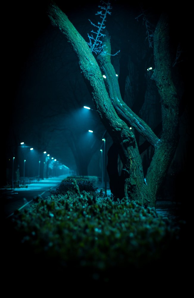 Photograph by Темирлан Топчубек уулу