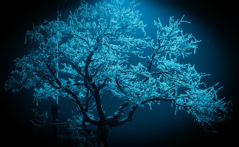 Photograph by Темирлан Топчубек уулу