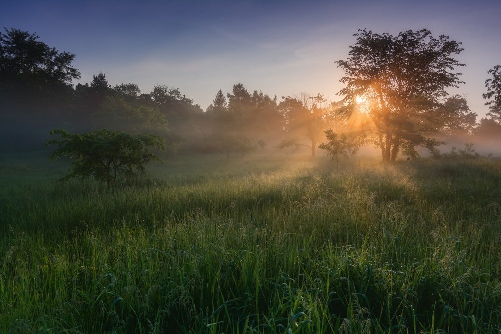 Photograph by Артем Алексеев