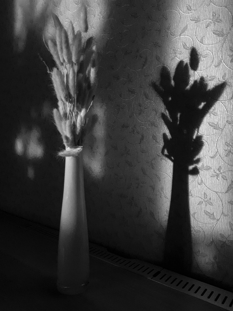 Photograph by Анна Кабиева