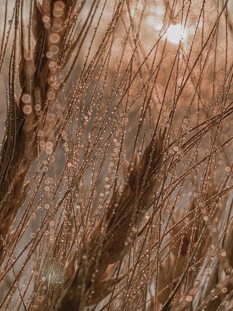 Photograph by Наталья Мищенко